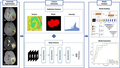 Deep Learning Radiomics to Predict PTEN Mutation Status From Magnetic Resonance Imaging in Patients With Glioma